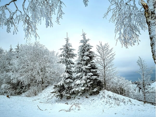 Winterberg weer in january